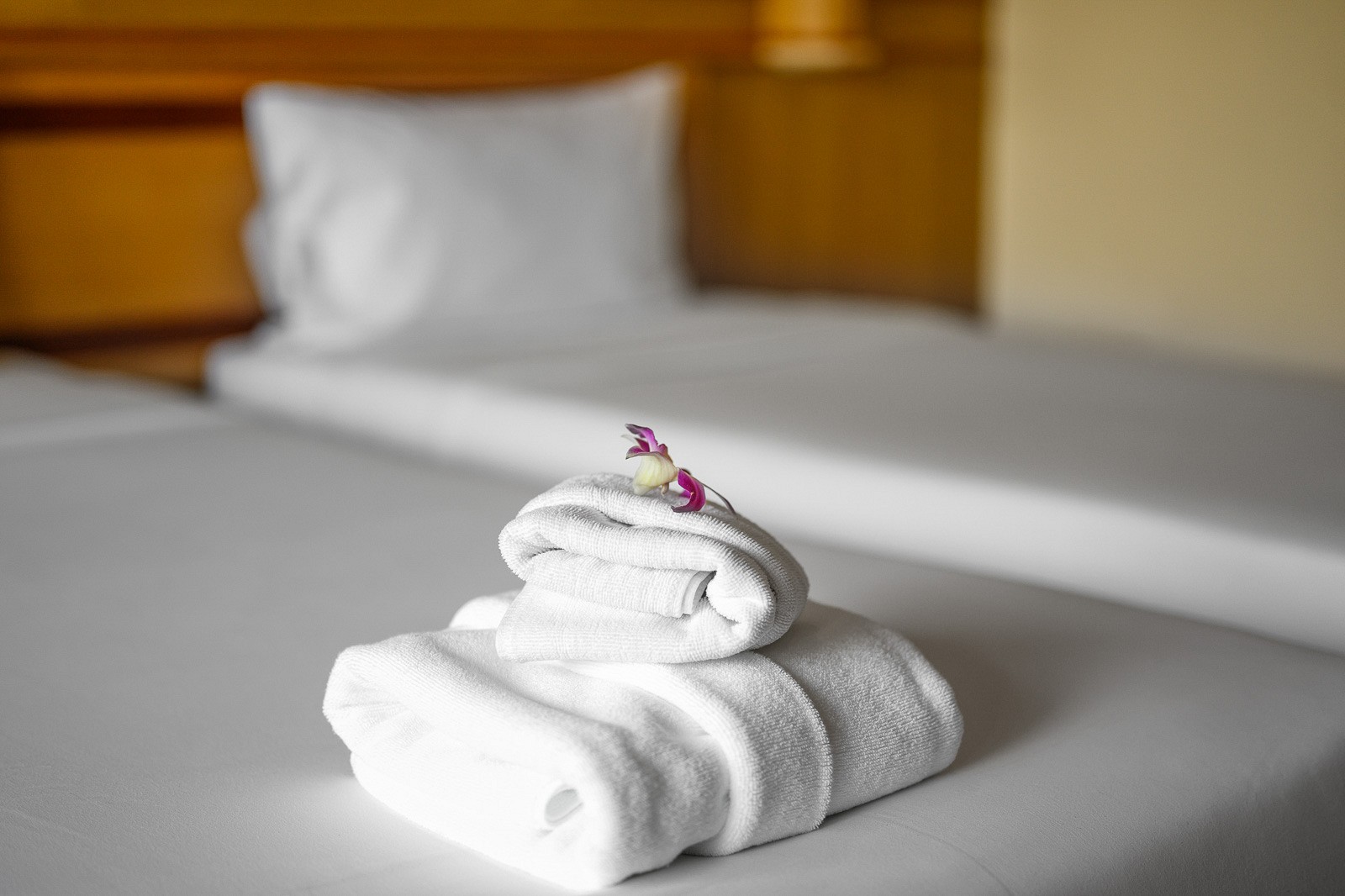 Patong Lodge Hotel Phuket